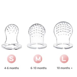 BPA-Free Fruit Feeder